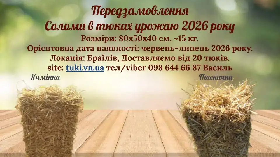 Солома в прямокутних тюках